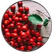 Hawthorn berries